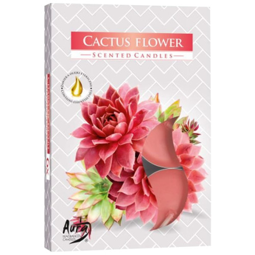 Vela para Rechaud Flor de Cactus (Importado)