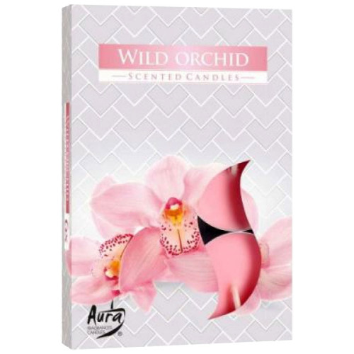 Vela para Rechaud Orquídea Selvagem (Importado)